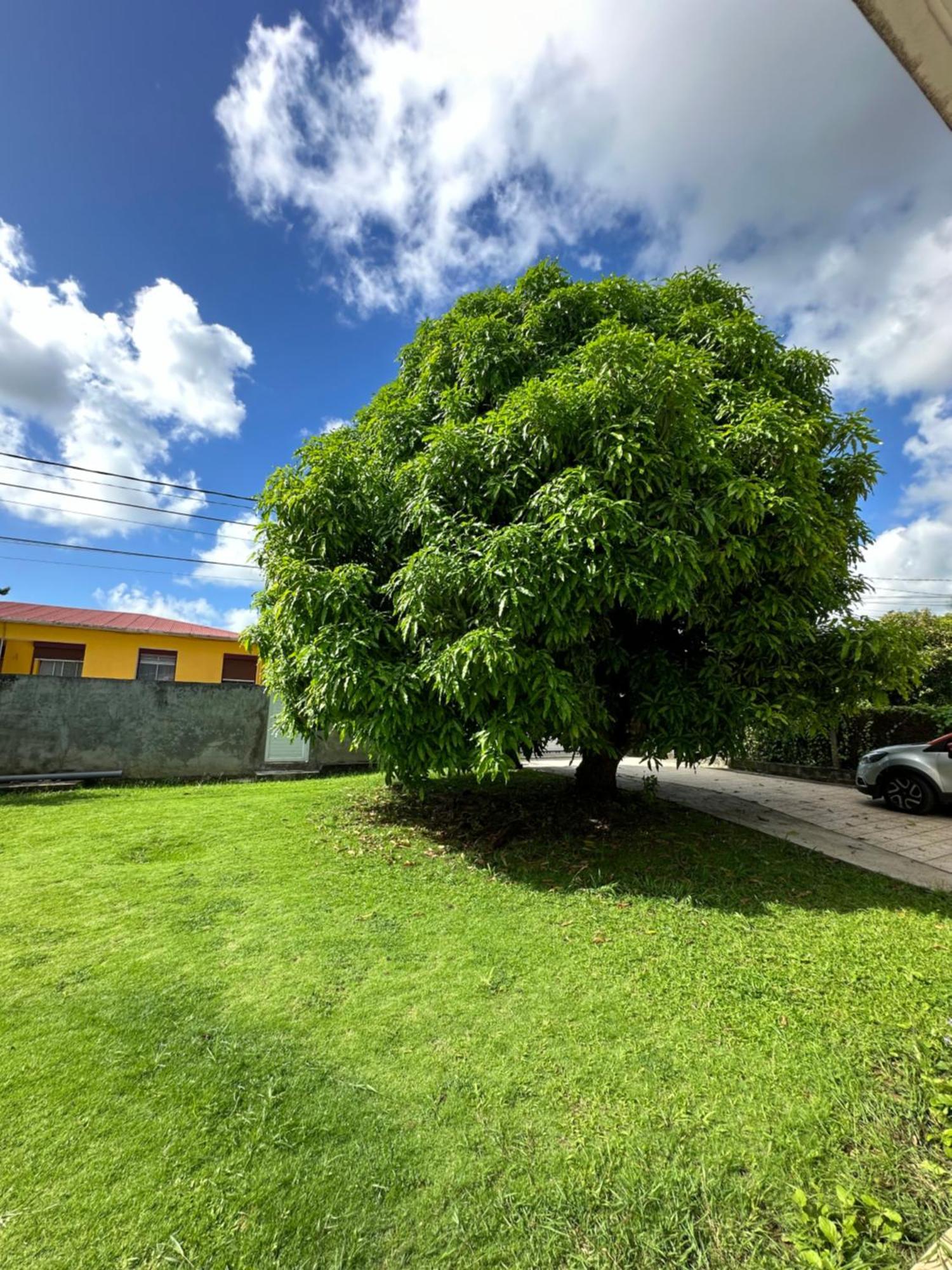 Apartamento Appt F2 Bellissima Baie-Mahault Exterior foto